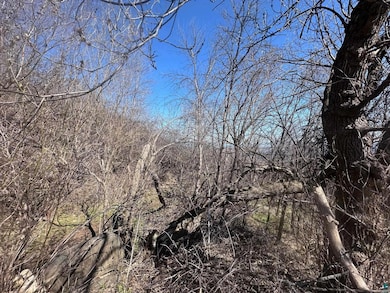 View of local wilderness