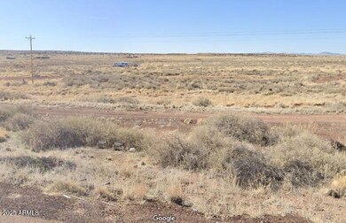 29 County Road 6025 unit 106, Saint Johns, AZ 85936 - photo 2