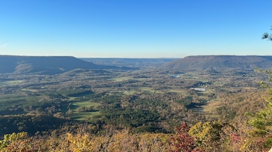 Photo Nov 16 2024, 4 36 18 PM