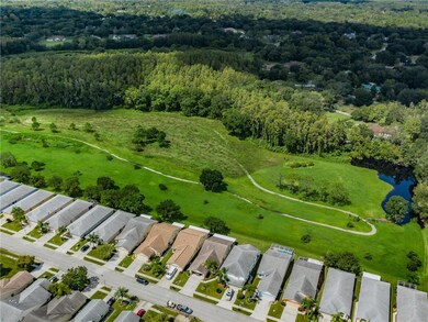 Aerial backyard view