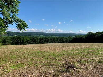 0 Winter Mountain Rd unit 650769, Lehighton, PA 18235 - photo 3