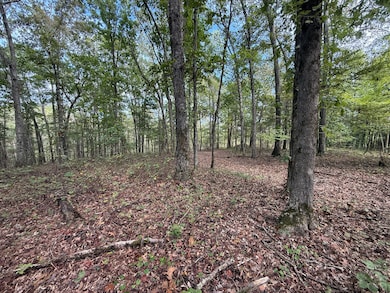 0 Moore Rd, Bolivar, TN 38008 - photo 4