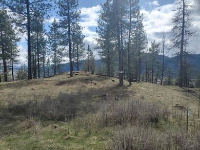 717 Snead Dr, Chewelah, WA 99109 - photo 2