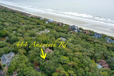 414 Amaranth Rd Drone-8