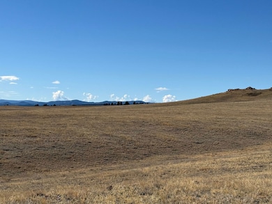 2424 Hwy 287, Tie Siding, WY 82070 - photo 5