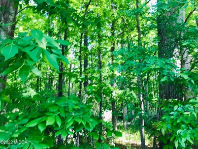 5963 Rivoli Dr, Macon, GA 31210 - photo 2