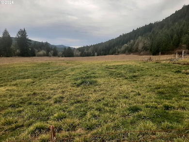 39933 Layng Creek Rd, Dorena, OR 97434 - photo 3