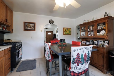 407 W Park Ave, Fowler, CO 81039 - photo 7