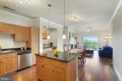 12917 Centre Park Cir unit 417, Herndon, VA 20171 - photo 3