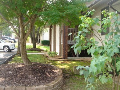 GREAT LANDSCAPING