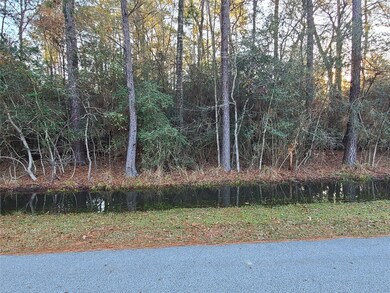 0 Weisinger unit 21165833, Magnolia, TX 77359 - photo 6