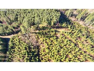 3 NE Jones Creek Rd, Camas, WA 98607 - photo 7