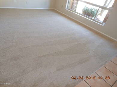 NEW CARPET LIVING ROOM
