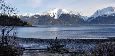 Winter view