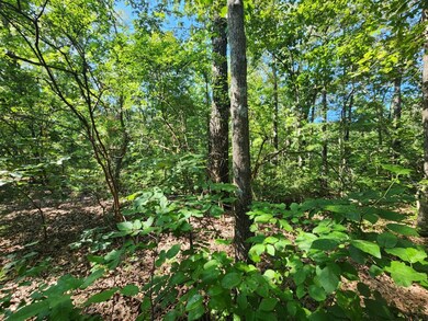 0 Conbanna S D unit 134480, Buchanan, TN 38221 - photo 2