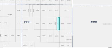 0 N A unit MFRO6266684, Frostproof, FL 33843 - photo 2