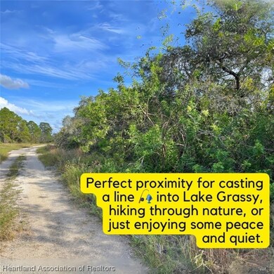 449 Morningside Dr, Lake Placid, FL 33852 - photo 3