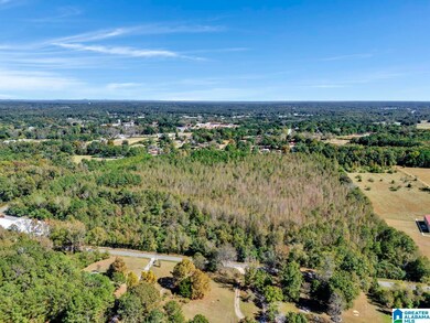 0 Hopewell Dr unit 21433405, Clanton, AL 35045 - photo 6