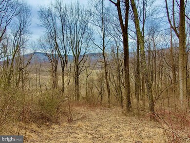 0 Harris Hollow Rd unit VARP107798, Washington, VA 22747 - photo 2