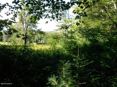 16 Wooded Acres on Route 8A in Savoy