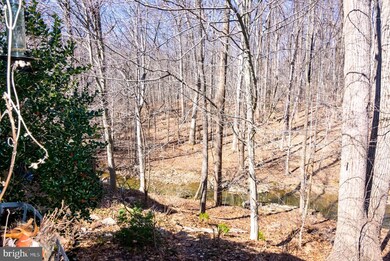 15815 Haynes Rd, Laurel, MD 20707 - photo 4