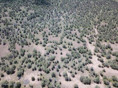 DJI_0066