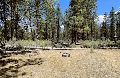 fire pit Lot 6
