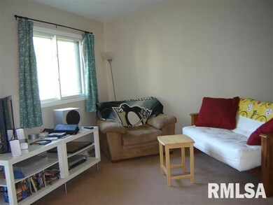 4023 Lillie Ave unit 501, Davenport, IA 52806 - photo 3