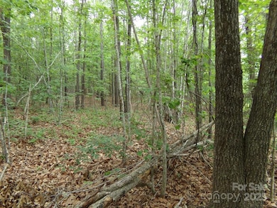 1.5 Ac Pinckney Rd, Chester, SC 29706 - photo 6