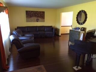 mitzi living room again