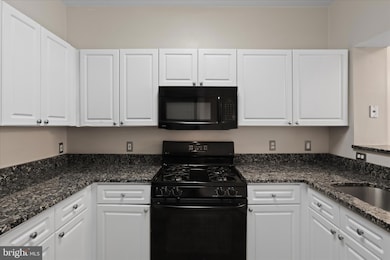 12909 Alton Square unit 201, Herndon, VA 20170 - photo 6