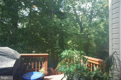 4302 Hollowstone Ct, Chantilly, VA 20151 - photo 4