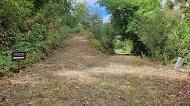 20245 Gist Rd, Los Gatos, CA 95033 - photo 4