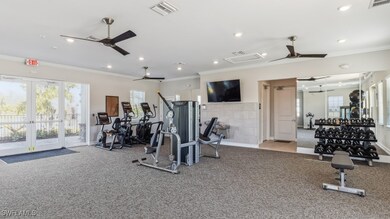 Exercise room with crown molding, ceiling fan, and