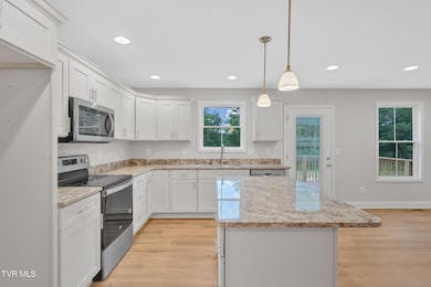 614 Cherry Marie Dr, Jonesborough, TN 37659 - photo 3