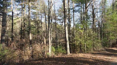 Additional View 6
