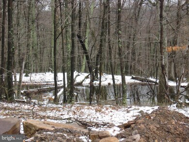 0 Off Cold Run Valley Rd unit 1000289098, Berkeley Springs, WV 25411 - photo 2
