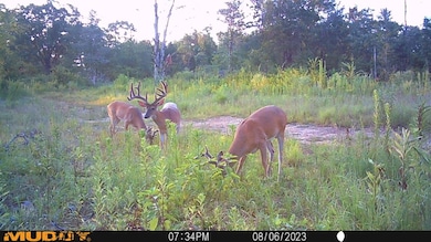 000 N Highway 41, Cecil, AR 72930 - photo 2