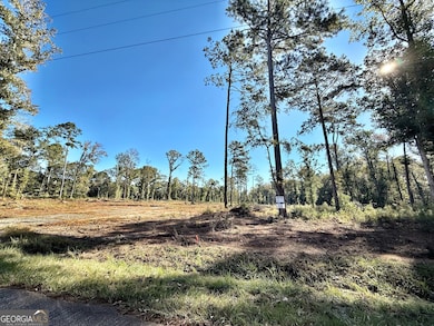 283 Lower Simmons Rd, Macon, GA 31220 - photo 2