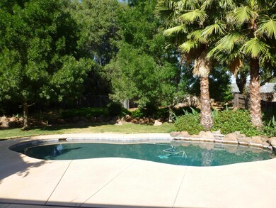 Sparkling pool