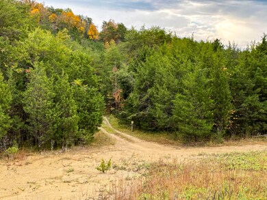 0 Parrotts Chapel Rd unit 1345667, Sevierville, TN 37876 - photo 2