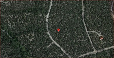 233 Lake of the Falls Pkwy, Mosca, CO 81146 - photo 7