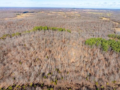 0 Pleasant Run Rd unit 25048737, Mammoth Spring, AR 72554 - photo 4