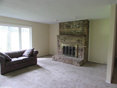 Wood Burning Fireplace