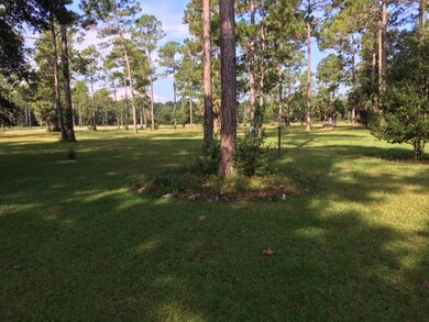 unlisted-address, Crawfordville, FL 32327 - photo 3