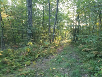 0 N V L Evergreen Dr unit 17049135, White Cloud, MI 49349 - photo 5