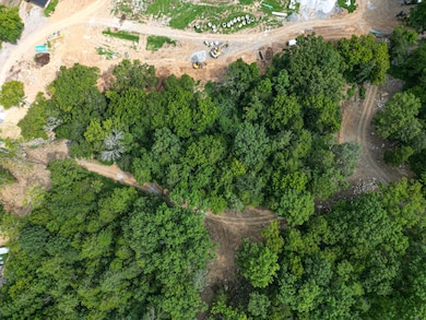 975 Main St, Lynchburg, TN 37352 - photo 4