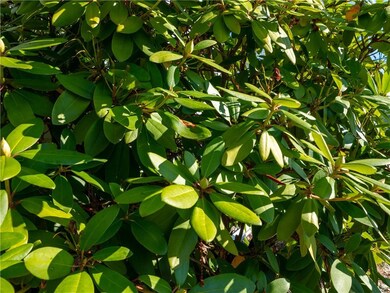 33 Burbank Dr, Warwick, RI 02886 - photo 4