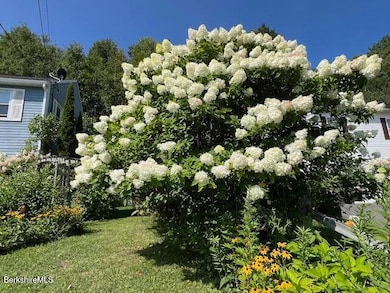 215 Partridge Rd, Pittsfield, MA 01201 - photo 5