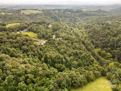 00 Crist View Dr unit 10, Marshall, NC 28753 - photo 5